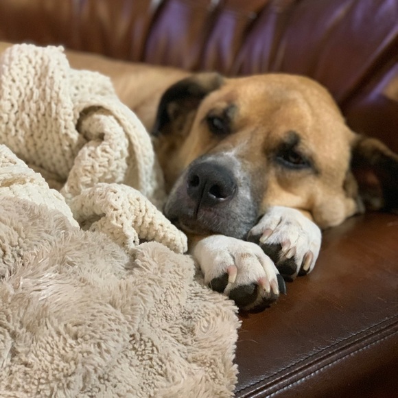 Hello everyone!! - Picture 2 of 2